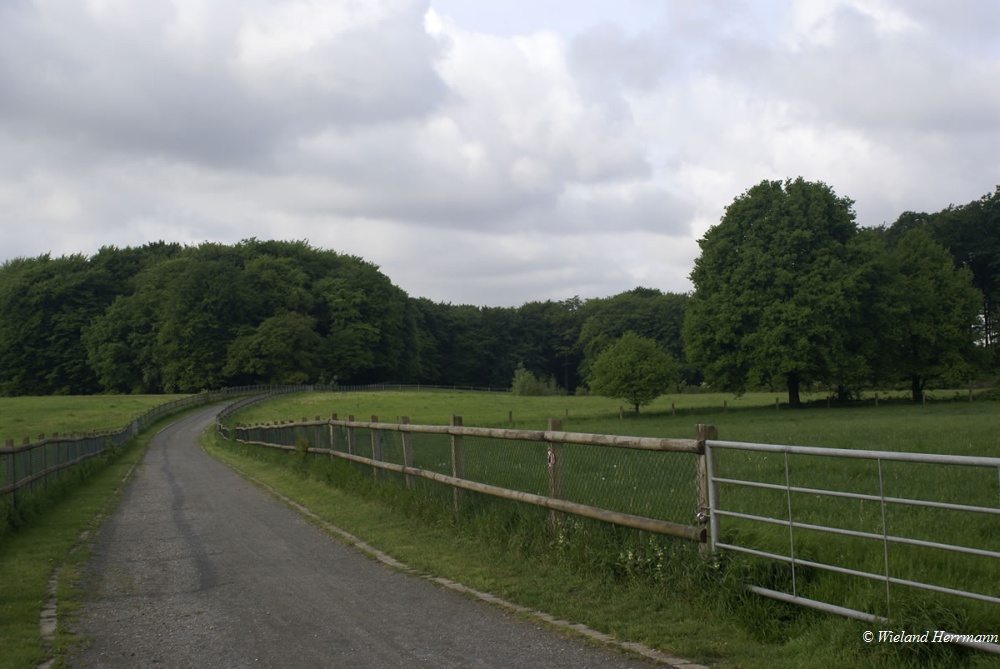 Huenxer Wald_